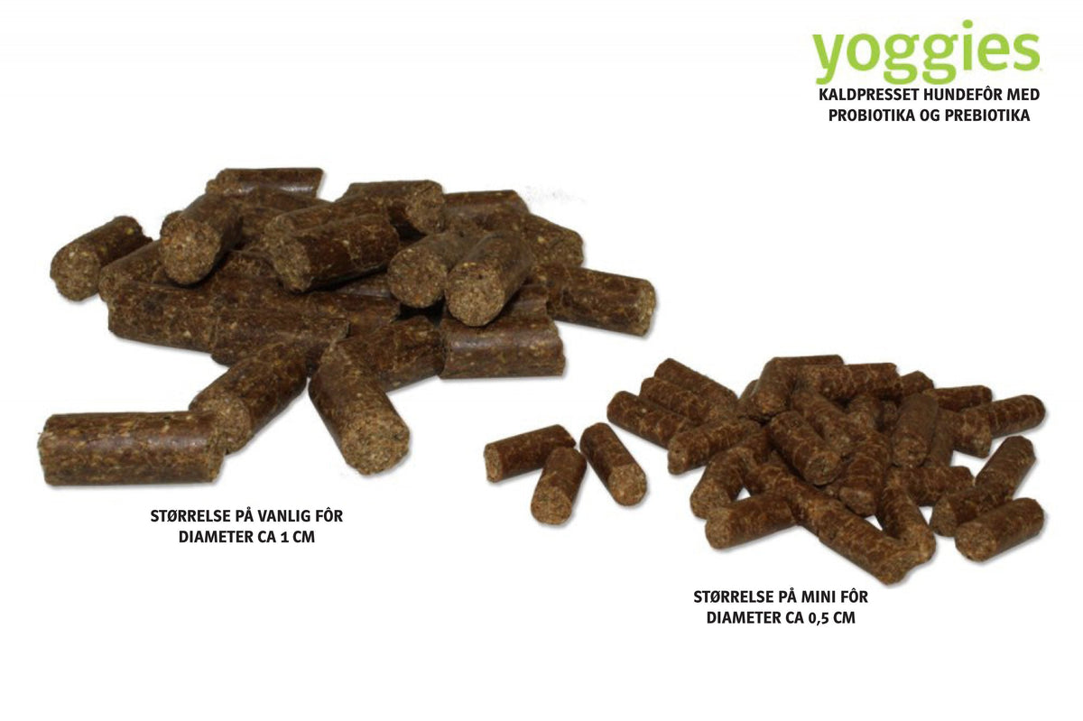 Størrelsesforskjell på Yoggies kaldpresset hundefôr, normal og MINI pellets