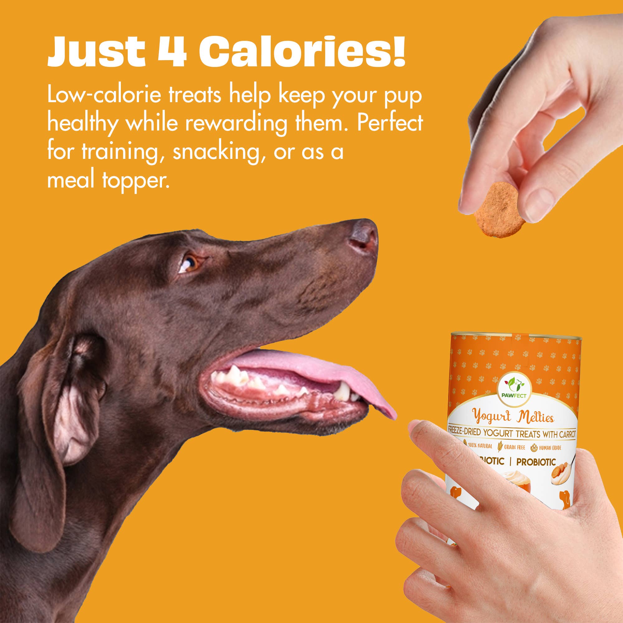 GRESSKAR & YOGHURT hundegodbiter med prebiotika og probiotika – Pawfect Yogurt Melties