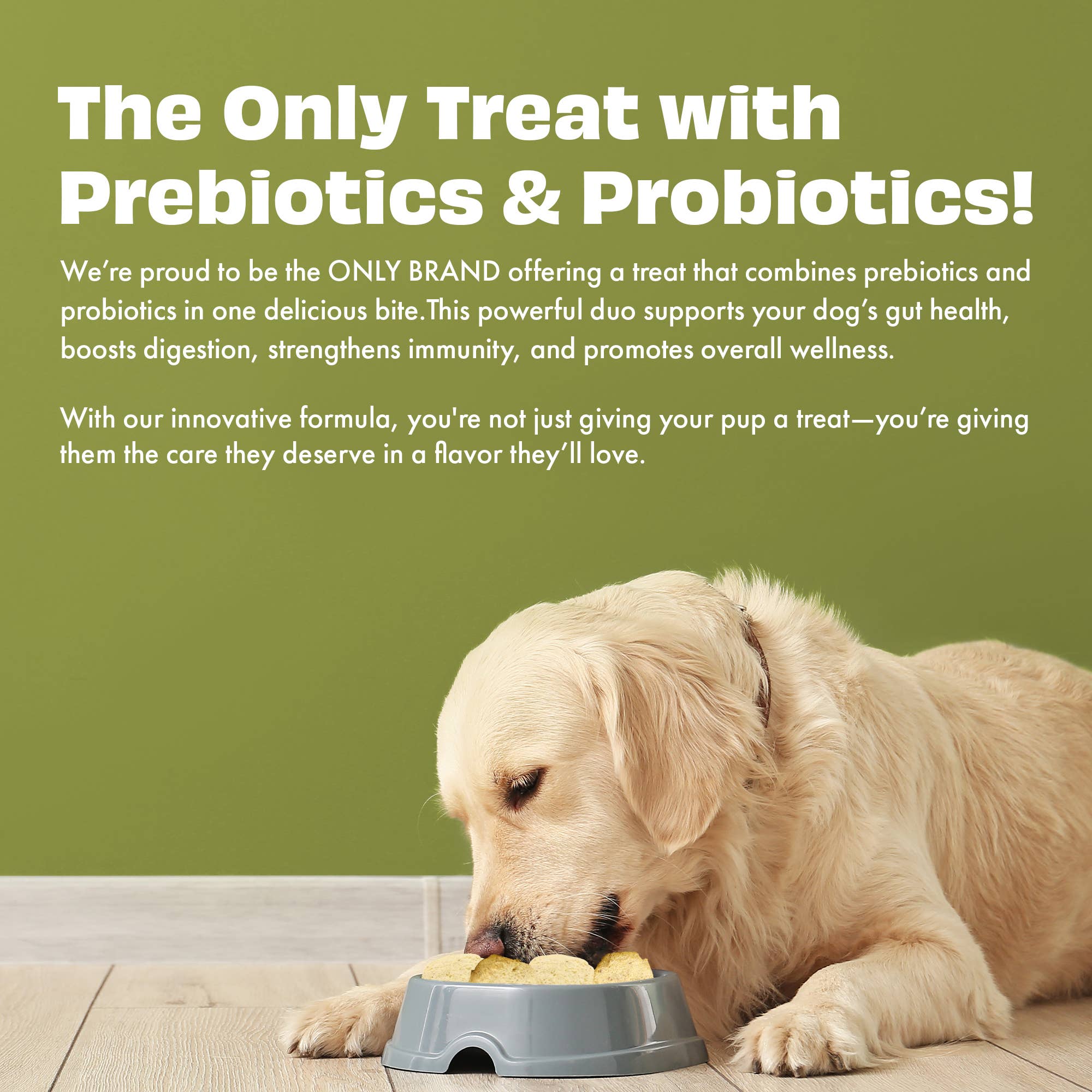 ANANAS & YOGHURT hundegodbiter med prebiotika og probiotika – Pawfect Yogurt Melties