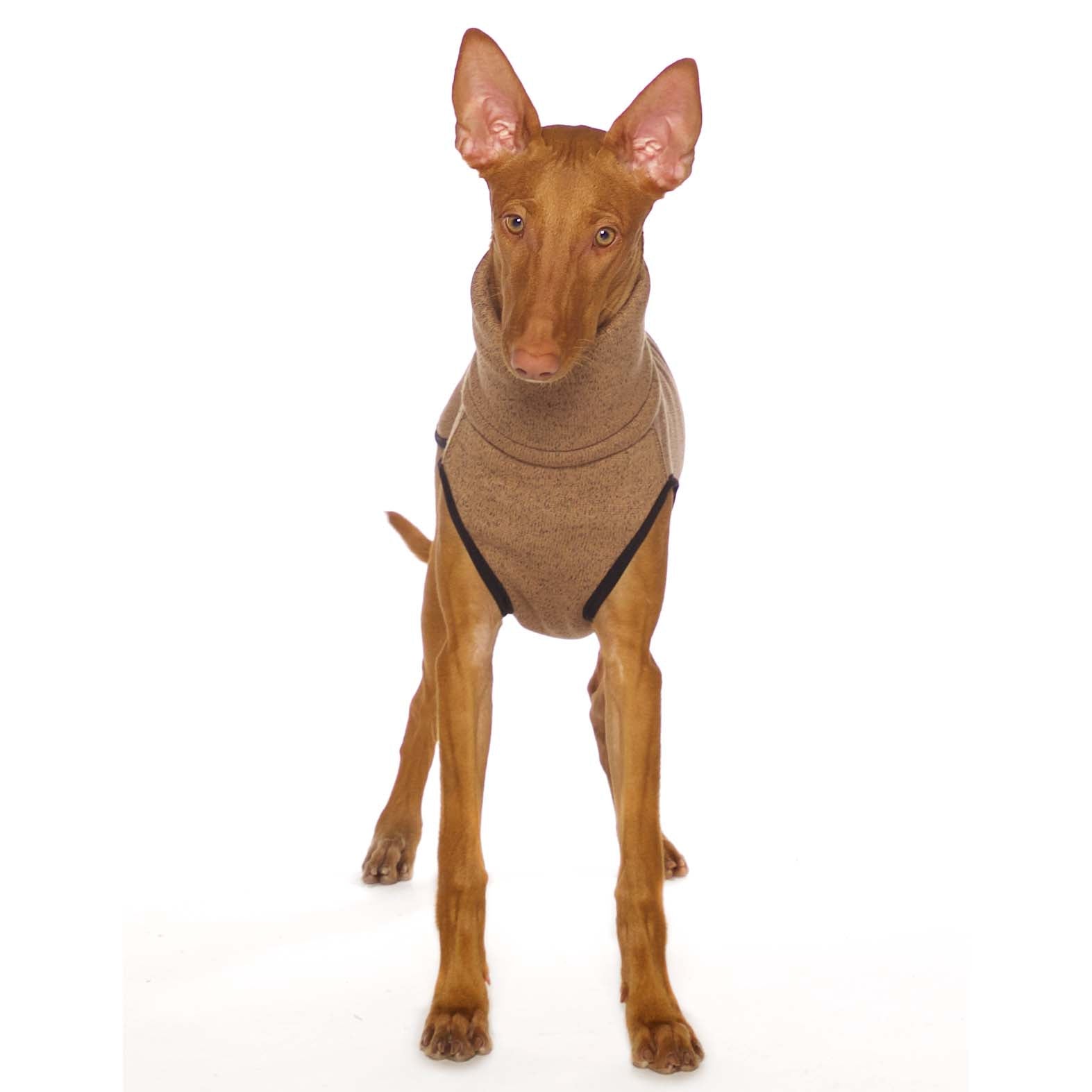 K-JUMPER hundegenser