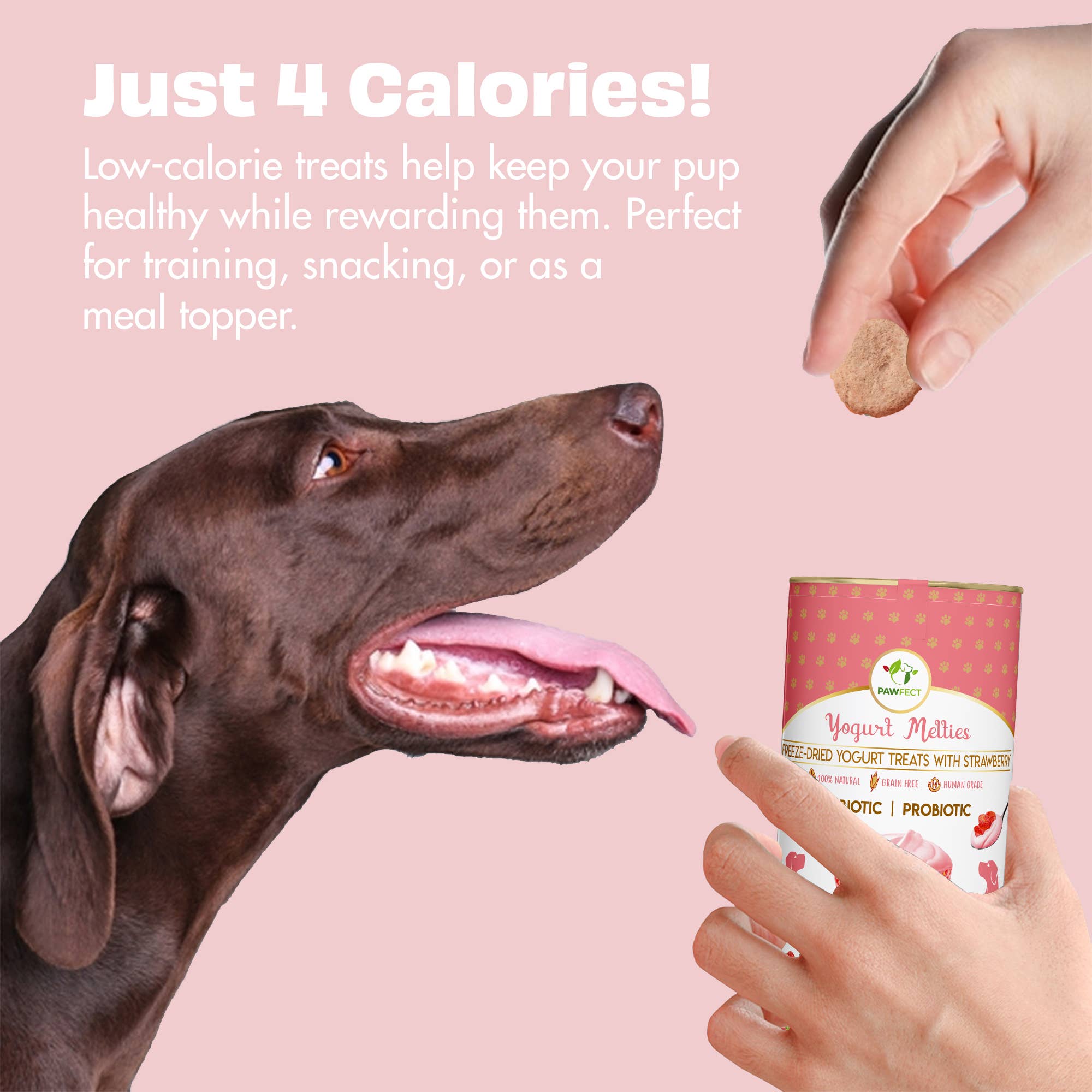 JORDBÆR & YOGHURT hundegodbiter med prebiotika og probiotika – Pawfect Yogurt Melties
