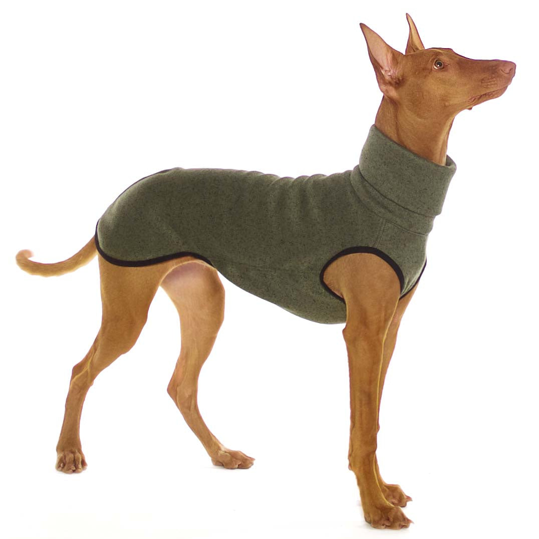 K-JUMPER hundegenser