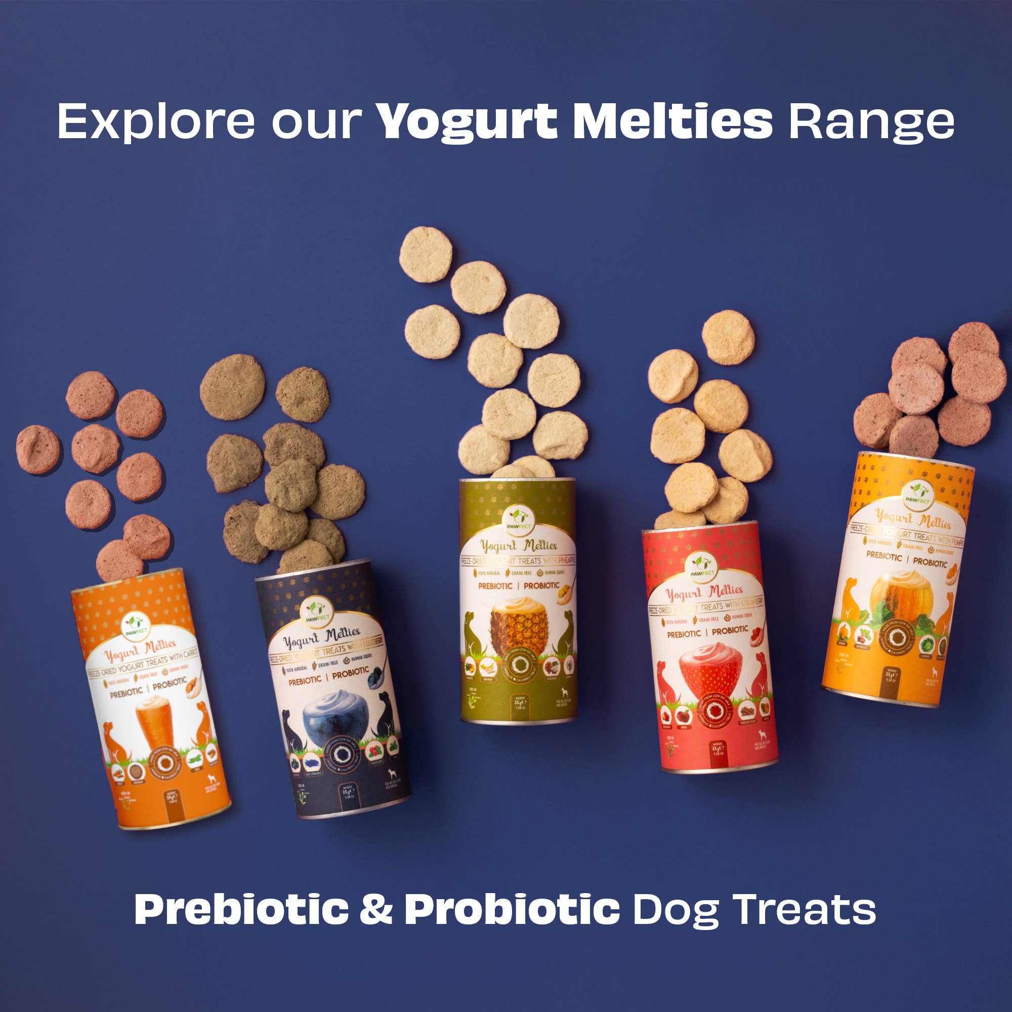 BLÅBÆR & YOGHURT hundegodbiter med prebiotika og probiotika – Pawfect Yogurt Melties