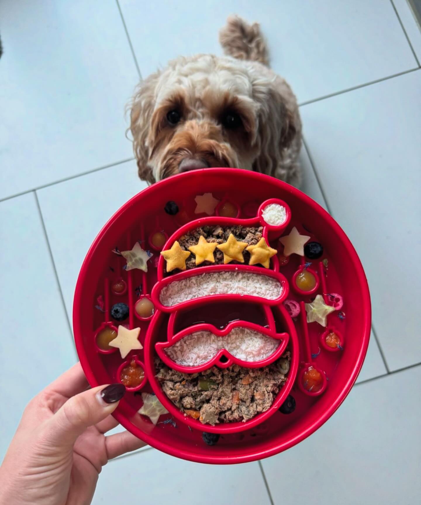 SANTA DESIGN EBOWL ENRICHMENT SLOW FEEDER matskål