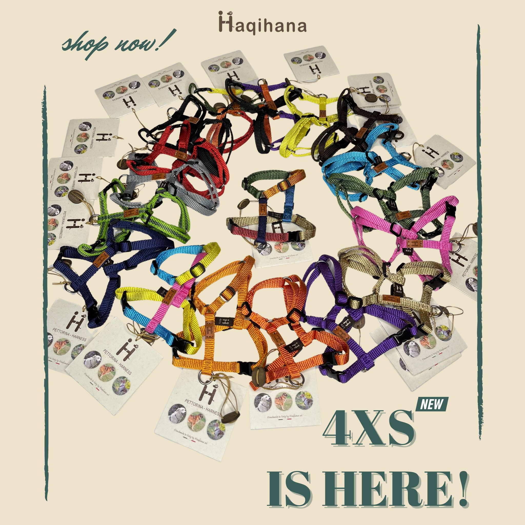 Haqihana justerbar H-sele MINI (4XS)