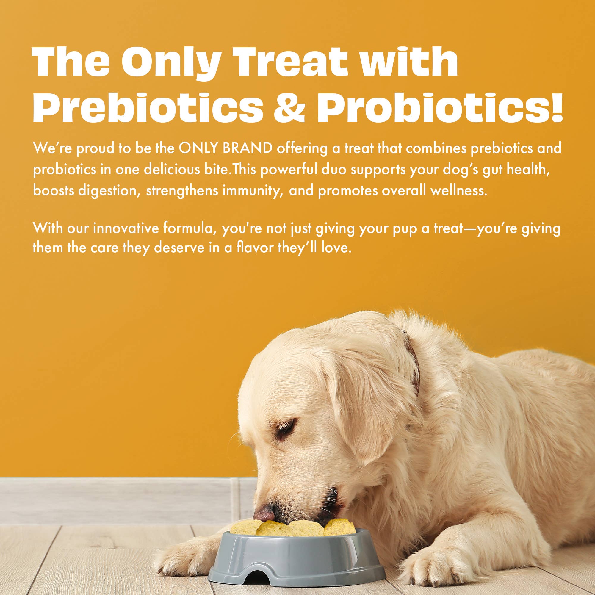GRESSKAR & YOGHURT hundegodbiter med prebiotika og probiotika – Pawfect Yogurt Melties