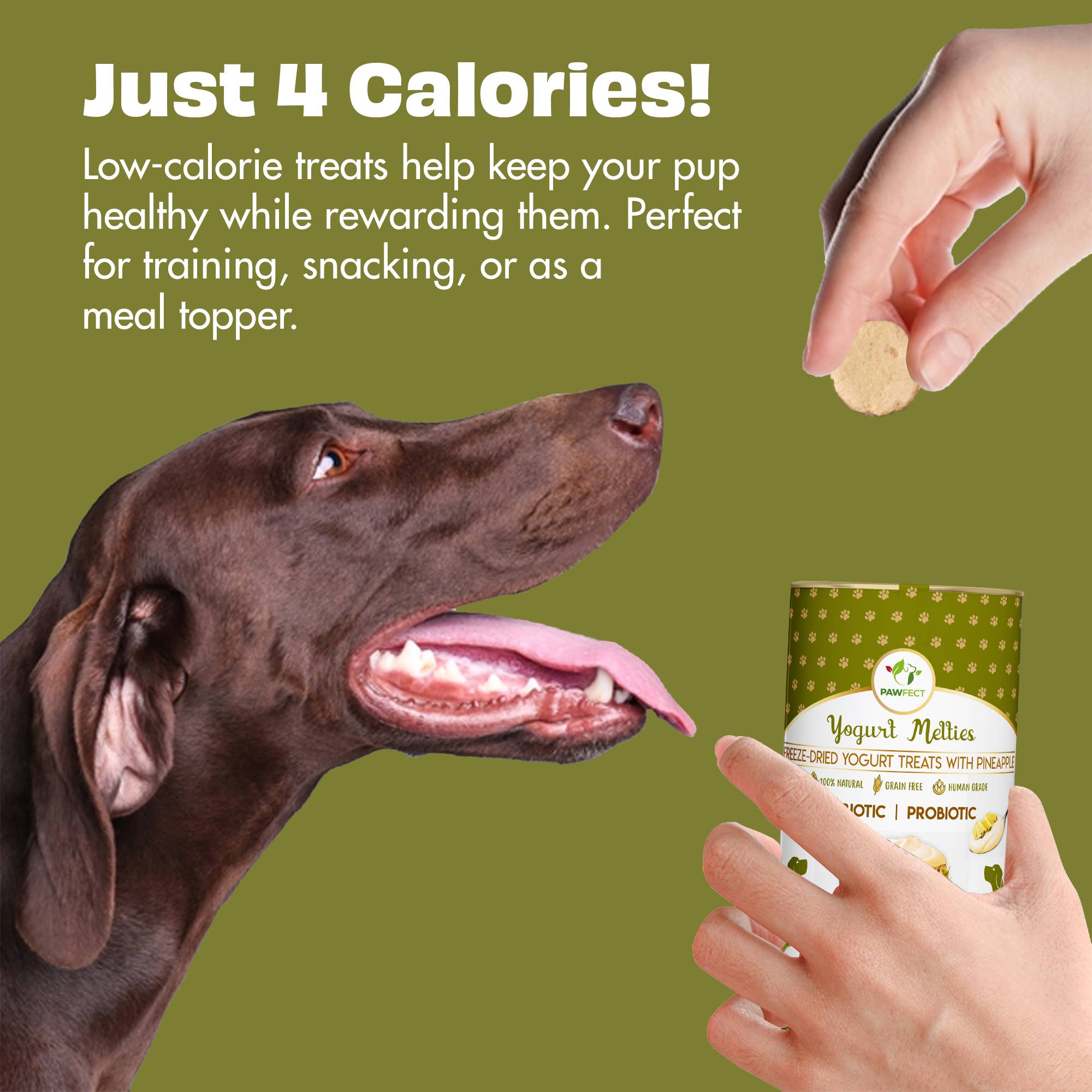 ANANAS & YOGHURT hundegodbiter med prebiotika og probiotika – Pawfect Yogurt Melties