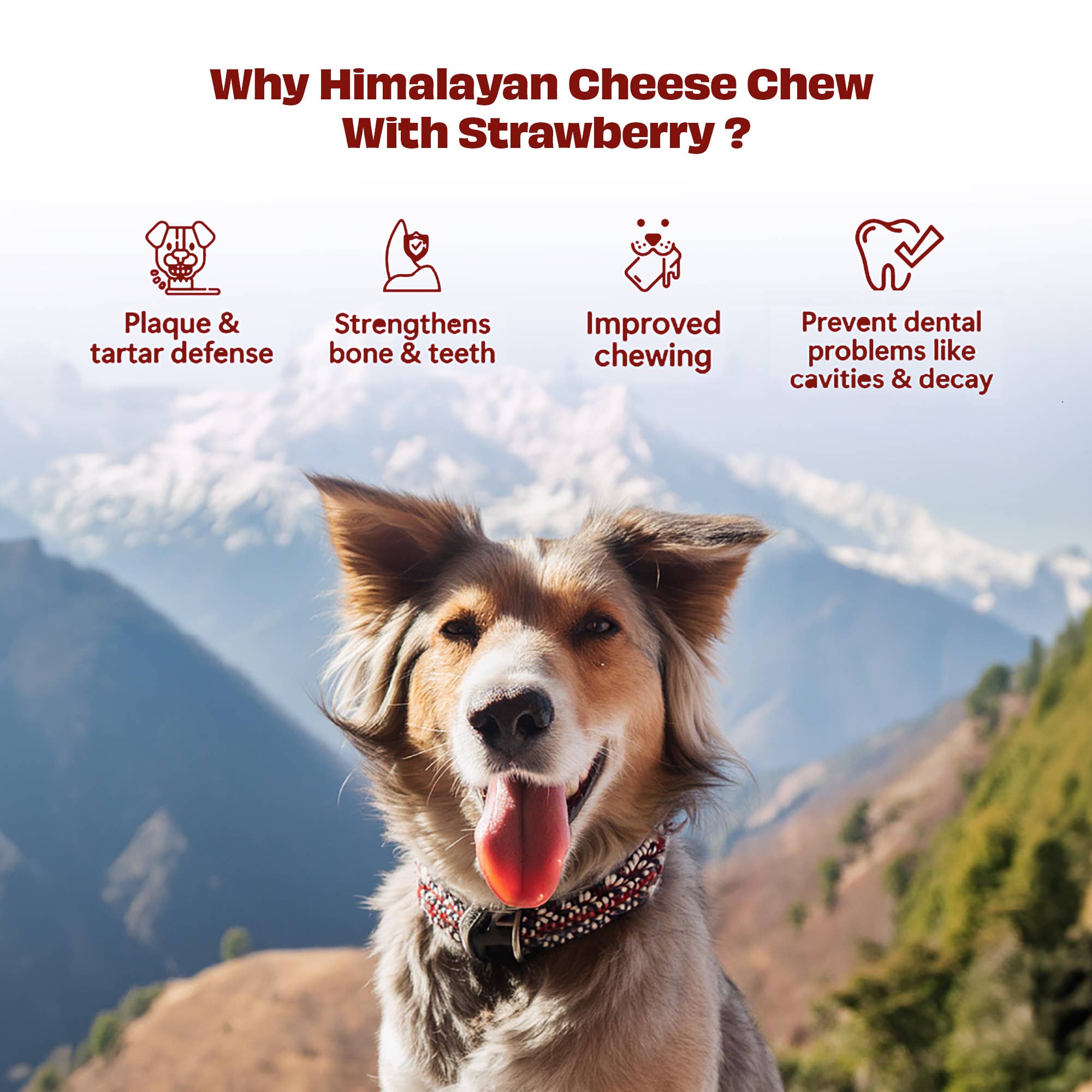 Himalayan Cheese Chews tyggebein - JORDBÆR (3-pack)