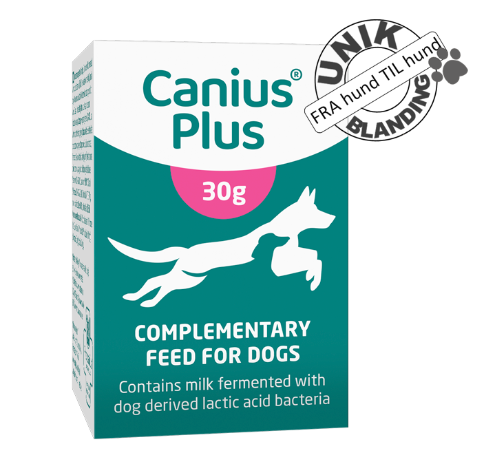 Canius Plus melkesyrebakterier til hund