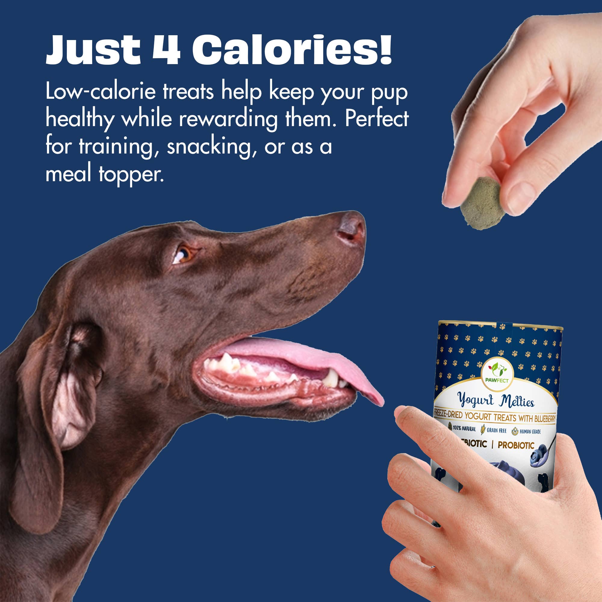 BLÅBÆR & YOGHURT hundegodbiter med prebiotika og probiotika – Pawfect Yogurt Melties