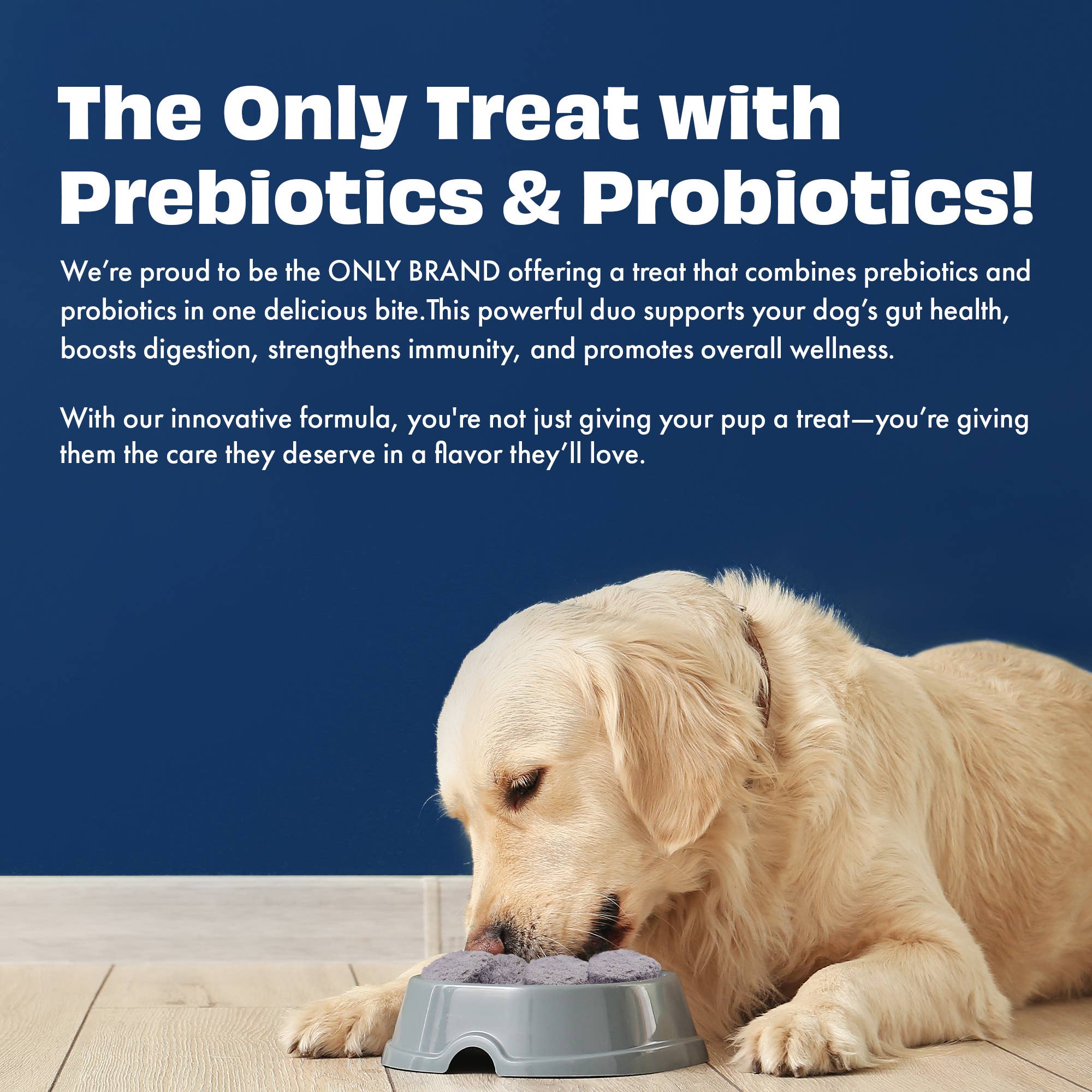 BLÅBÆR & YOGHURT hundegodbiter med prebiotika og probiotika – Pawfect Yogurt Melties