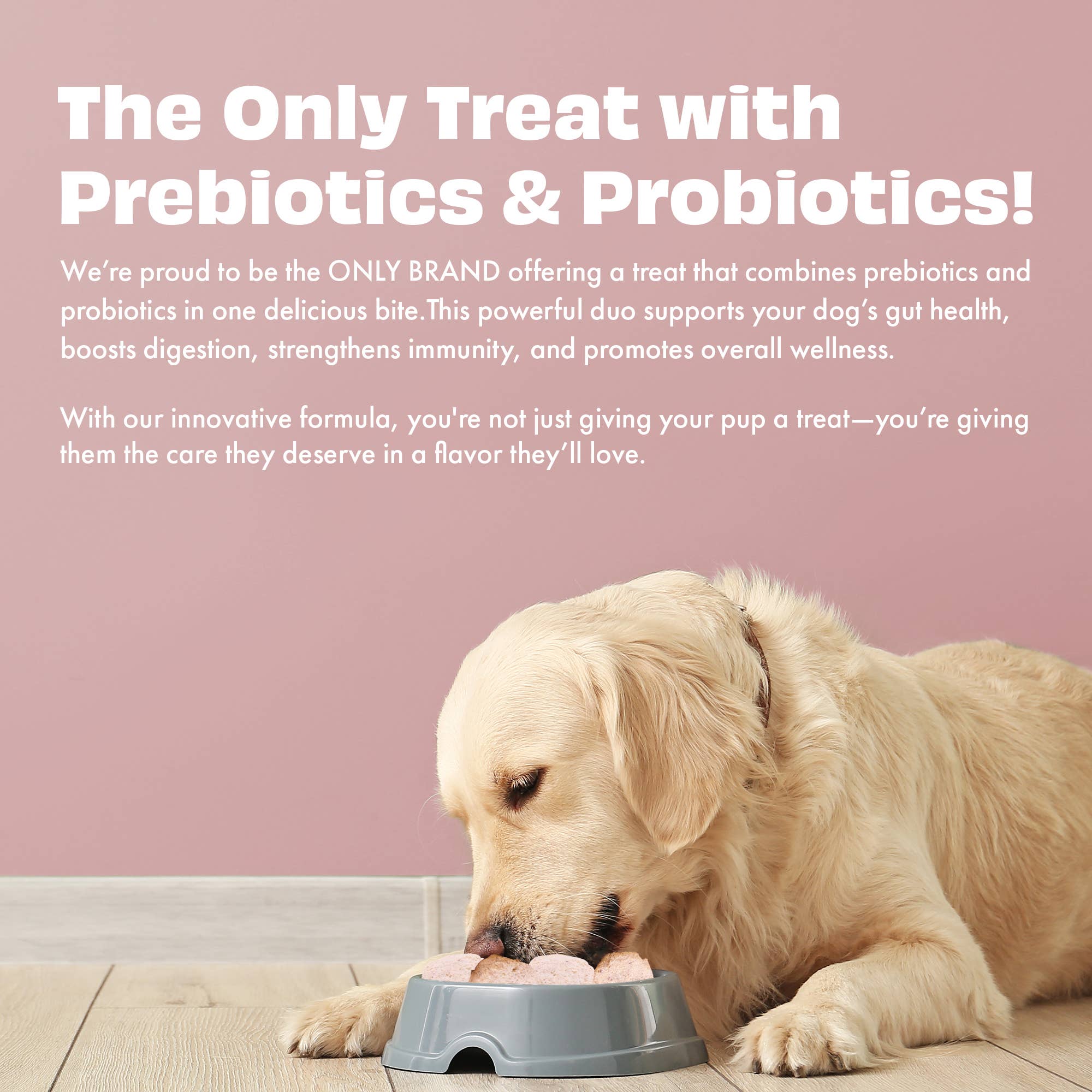 JORDBÆR & YOGHURT hundegodbiter med prebiotika og probiotika – Pawfect Yogurt Melties