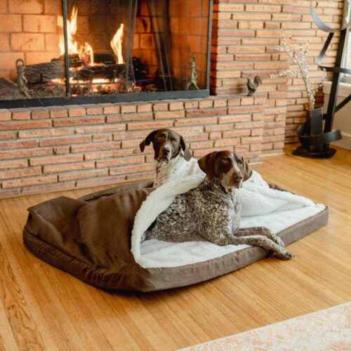 Forgiveness Luxury Cozy Cave® Dog Bed – FIRKANTET - FULLT VASKBAR