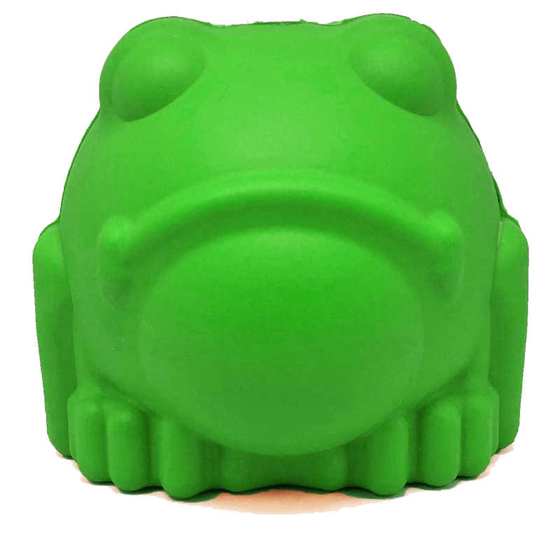 BULL FROG activity toy