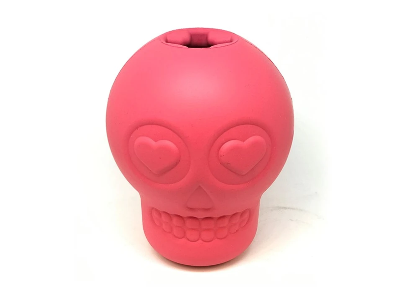 PINK SUGAR SKULL aktivitetsleke