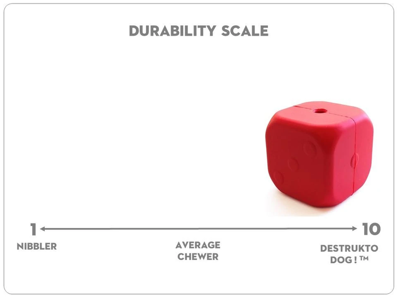 DICE Activity Toy