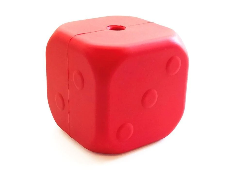 DICE Activity Toy