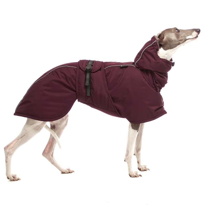 ELVIS vinterjakke for whippet og italiener1