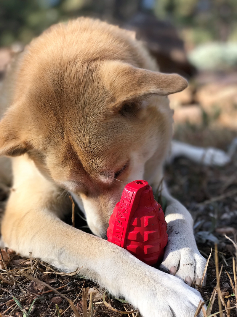 PUPPY GRENADE aktivitetsleke