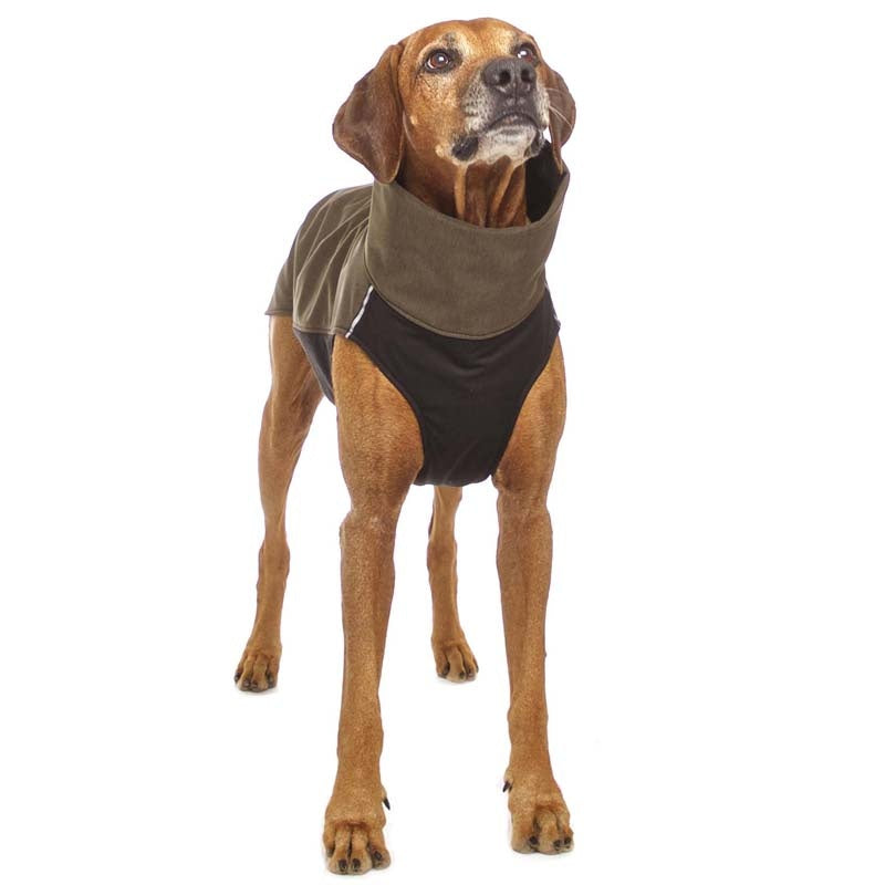 Hachiko RR vest rhodesian ridgeback (453392269340)