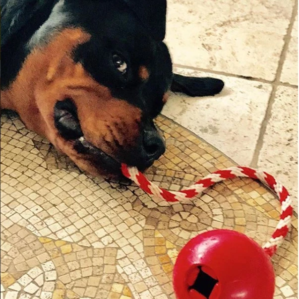 CHERRY BOMB aktivitetsleke